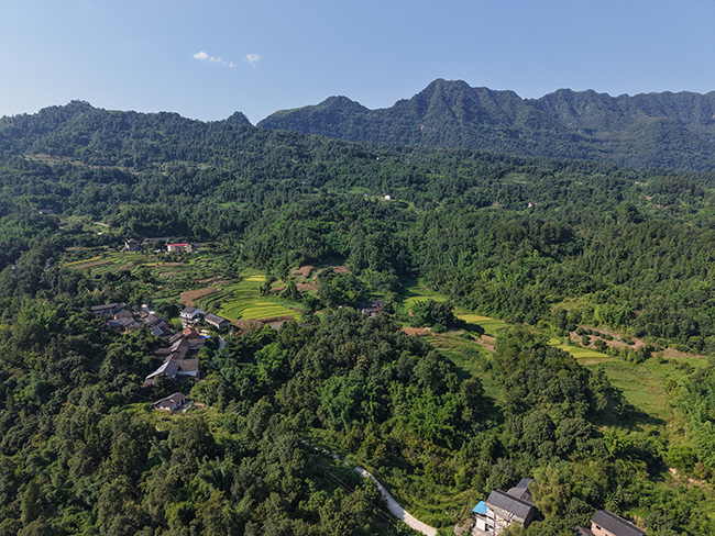 1769656553586346.jpg 现场踏勘1.jpg