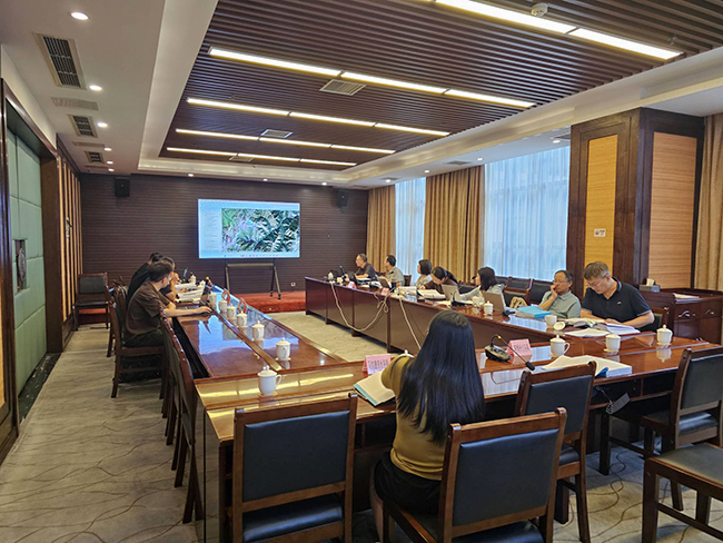 审查会议.jpg